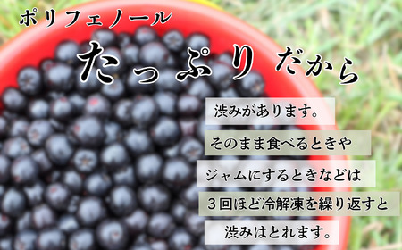 アロニア（ブラックベリー）1kg　008051