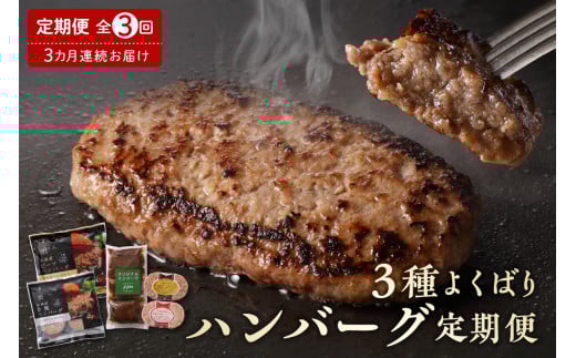 【3ヵ月定期便】北海道芽室町 3種よくばり ハンバーグ定期便 me000-010c