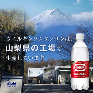 【2週間毎定期便】【月2回:12か月】ウィルキンソン タンサン 500ml【24本】1箱ずつ全24回【4013658】