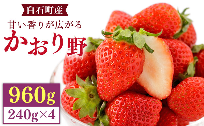 【先行予約】上品な香りの「かおり野」240g×4パック 【StrawberryFarm-K】 いちご [IBJ012]