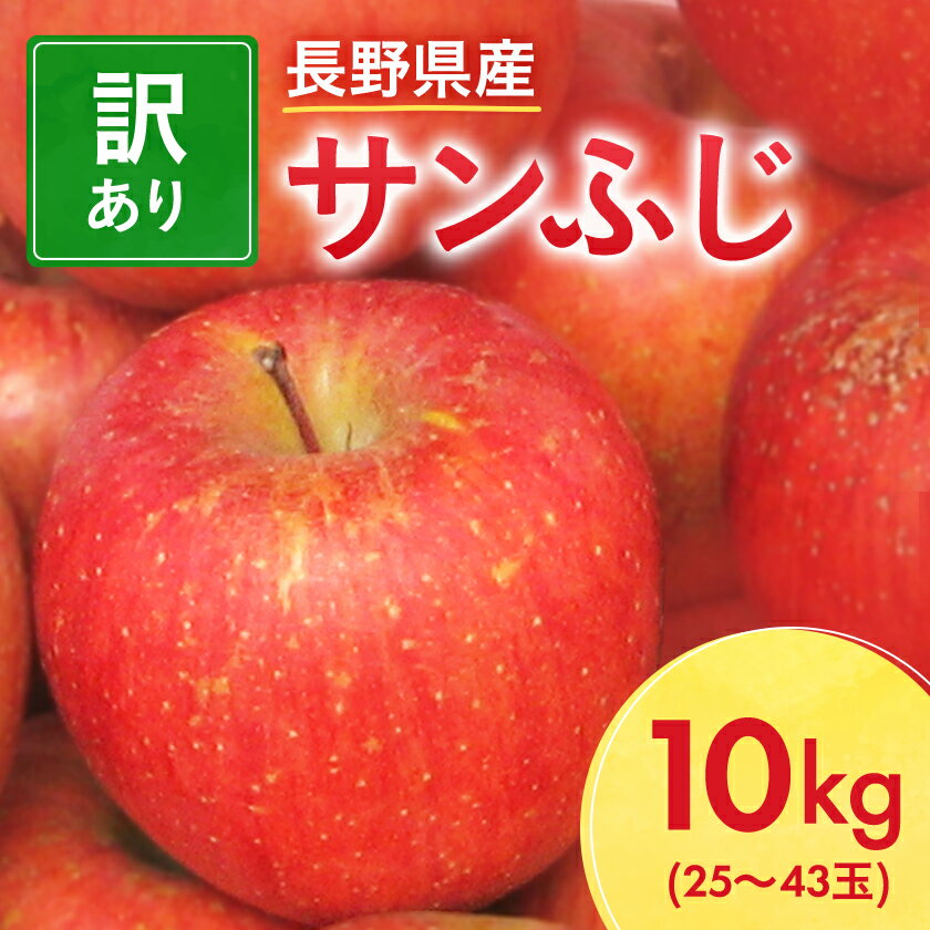 【ふるさと納税】【先行予約】長野県産 サンふじ りんご 家庭用 訳あり 10kg(25～43玉)_ 林檎 リンゴ 訳あり 訳アリ わけあり 10kg 長野県 信州 くだもの 果物 フルーツ 人気 サンフジ 特産品 産地直送 キズ 中野市 常温 家庭用 規格外 新鮮 北信州 農家 【1449710】