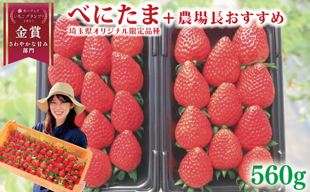 【事前予約】いちご べにたま +おまかせ品種 560g  苺 べにたま 苺 いちご げんき農場