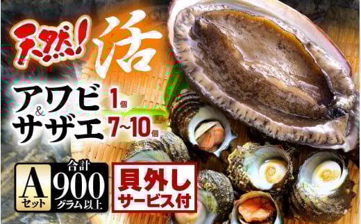 【先行予約】【期間限定】天然！活アワビ ＆ 活サザエ セットA(貝はずしサービス付き)【2025年6月中旬以降順次発送予定】【入手困難 産地直送 刺身 お造り おせち バター焼き BBQ あわび 鮑 サザエ さざえ 貝 砂抜き済 海鮮 魚介 酒の肴 つまみ 贅沢 ご褒美 冷凍 福井】[m21-b007_02]