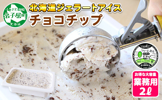 
598.アイスクリーム チョコチップ ジェラート 業務用 2リットル 2L アイス 大容量 手作り 北海道 弟子屈町
