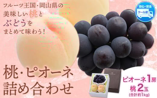 桃・ピオーネ詰め合わせ 約1kg クール便 冷蔵便 桃 もも 葡萄 ブドウ ぶどう ピオーネ フルーツ セット 先行予約 晴れの国おかやま館 《2025年8月下旬‐9月中旬頃出荷》 フルーツ 果物 果実 岡山県 笠岡市