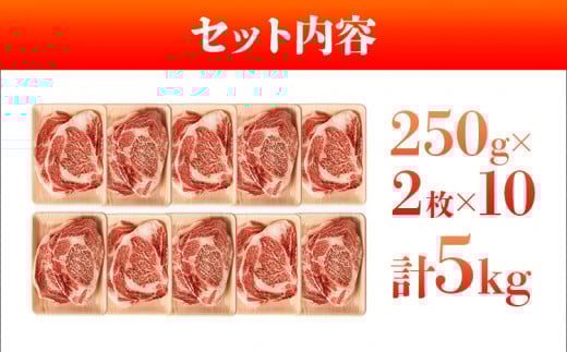 博多和牛サーロインステーキ 5kg 黒毛和牛 お取り寄せグルメ お取り寄せ お土産 九州 福岡土産 取り寄せ グルメ MEAT PLUS CP034