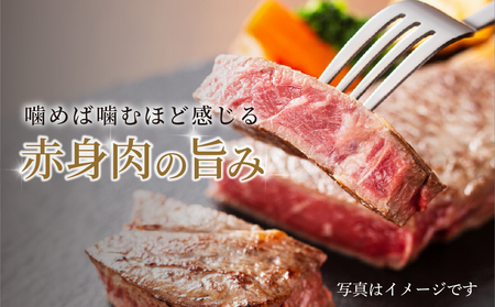 飛騨牛 赤身ステーキ 200g（100g×2） 冷凍真空パック | 肉 お肉 ステーキ モモ肉 黒毛和牛 和牛 人気 おすすめ 牛肉 ギフト お取り寄せ 飛騨高山ミート 1万円 10000円 [MS0