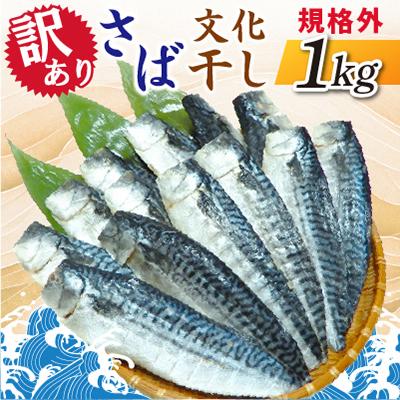 ふるさと納税 神栖市 【訳あり】規格外　さば文化干し　1kg