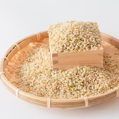 ふるさと納税 南阿蘇村 熊本県南阿蘇村産 令和7年産 特別栽培米 いのちの壱(玄米) 5kg×1袋【虹色のかば】 |  | 03