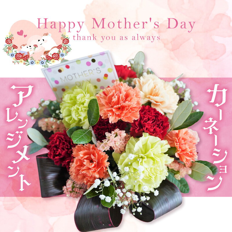 【ふるさと納税】予約受付 母の日 カーネーション アレンジメント 生花 花瓶 不要 ギフト用 プレゼント用 贈り物 花 花束 メッセージカード インテリア フラワー ラッピング 愛知県 碧南市 送料無料