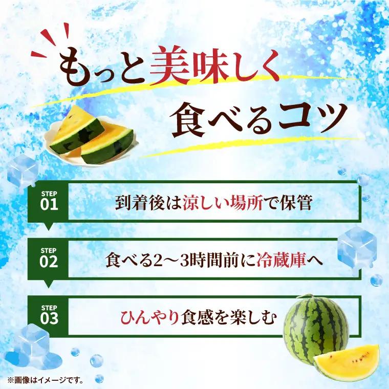 すいか 金色羅皇 2L（1玉） 西瓜 高糖度 シャリ感 甘い 夏限定 旬 フルーツ すいか 人気 産地直送 ギフト 茨城県 阿見町【先行予約｜2026年6月中旬より発送】（76-09）