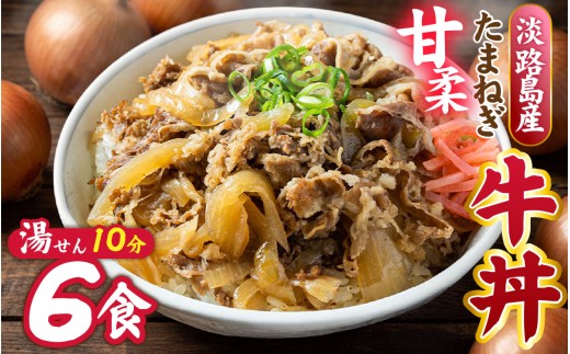 淡路島たまねぎ牛丼6食