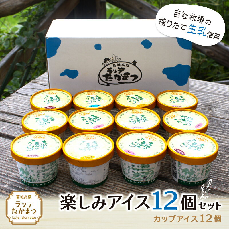 【ふるさと納税】（冷凍） ラッテたかまつ 楽しみアイス12個セット ／ バニラ 大和茶 ミルク 苺 ブルーベリー 黒ごま