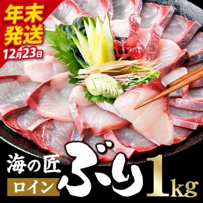 ふるさと納税 佐伯市 ＼2026年12月23日発送!先行予約/海の匠 ブリ スキンレスロイン (1kg)