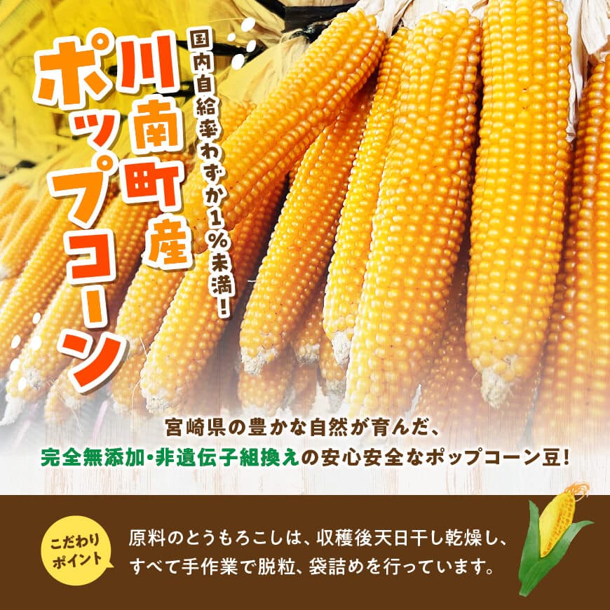国産ポップコーン用（乾燥とうもろこし）　500g（個包装50g×10パック） 【 数量限定 期間限定 宮崎県産 ポップコーン 】[C07109]