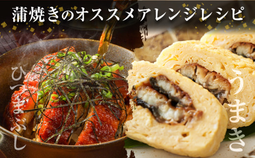 うなぎ 鰻 福岡県産 鰻の蒲焼き 数量限定 4尾 560g 以上 HOMIE《45日以内に出荷予定(土日祝除く)》福岡県 鞍手郡 鞍手町 鰻 蒲焼き 数量限定 国産 蒲焼 うなぎ蒲焼 (1尾あたり14