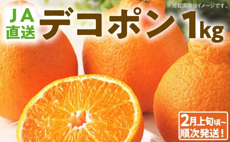 デコポン 1kg 【2月上旬頃から順次発送】 不知火 デコポン