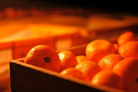 【2026年2月上旬以降順次発送】【定期便 2ヶ月】 西ヶ谷蜜柑農園 旬の柑橘 2種 【寿太郎みかん「恋蜜」・越冬 不知火（化粧箱入り）】 ミカン 柑橘 フルーツ 果実◆ルーツ 果実◆【離島・沖縄配送