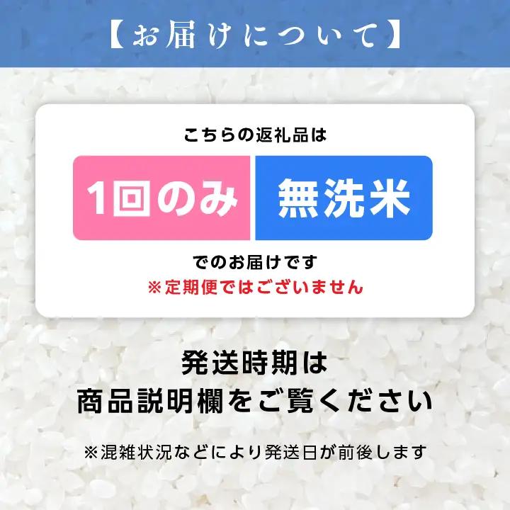 《先行予約》無洗米 令和8年産 こしひかり 10kg 無洗