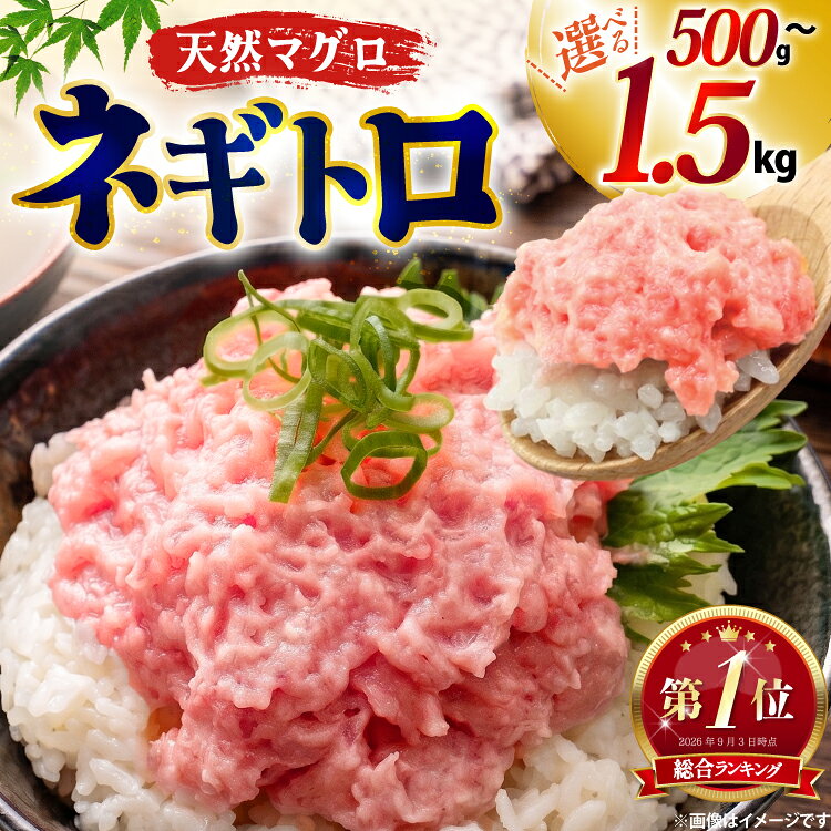 【ふるさと納税】 総合ランキング1位獲得 ネギトロ まぐろ 選べる 量 1.5kg 1kg 500g 小分け パック セット[大黒物産 福岡県 宇美町 um40bak830039] マグロ 鮪 ねぎとろ まぐろたたき まぐろのたたき ご飯 海鮮 魚介 惣菜 お惣菜 おかず おつまみ