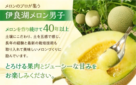先行予約 伊良湖産 マスクメロン Premium 2玉 2024年7月以降順次発送 箱詰め メロン フルーツ 果物 お取り寄せ ギフト 渥美半島 田原市 産地直送 送料無料