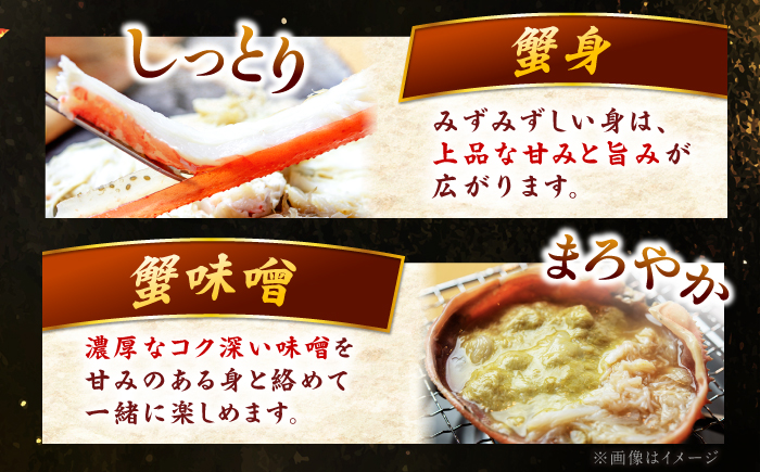 【先行予約/11月18日より順次配送】越前がに 700g×2杯 茹で 福井県産ズワイガニ / かに カニ 蟹 越前ガニ ズワイガニ ボイル / 小浜市 / 一進わかさ【配送不可地域：北海道・沖縄・離島