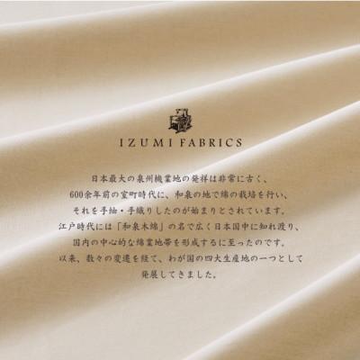 ふるさと納税 和泉市 (43×63cm)ハンガリー産ホワイトグースダウンピロー(羽毛枕)&ピローケース:シャンパンベージュ |  | 02