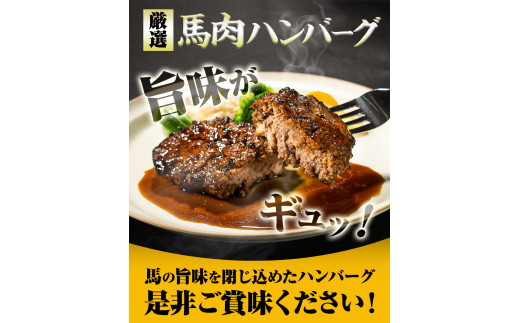 馬肉ハンバーグ 16個セット 130g×16個 千興ファーム 《60日以内に出荷予定(土日祝除く)》 熊本県 ---mifune_snk_25_16set---