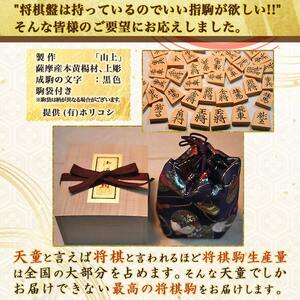 将棋駒 ( 上彫 ) 山形県 天童市 07-22-010