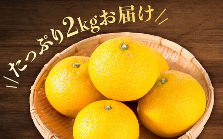 八朔 2kg 小玉 江田島市産 ハッサク はっさく 広島 みかん ミカン 柑橘 柑橘類 果物 くだもの フルーツ 家庭用 濃厚 デザート 旬 国産 ハルテラス農園/江田島市[XCX001]