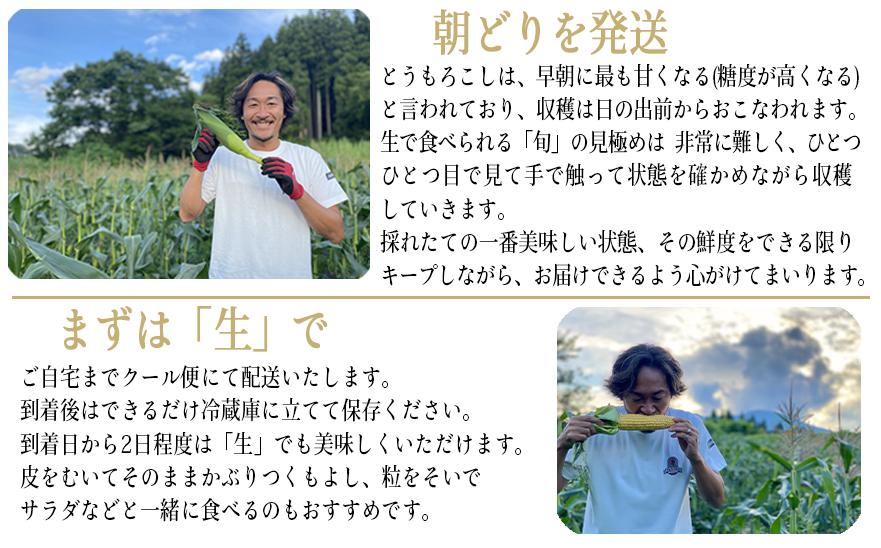 [ クール便 / 冷蔵便 ] 【 NAO's FARM 】 生で食べられる とうもろこし × 10本 2025年7月下旬頃から2025年8月中旬頃まで順次発送予定 令和7年度収穫分 株式会社みみずや 