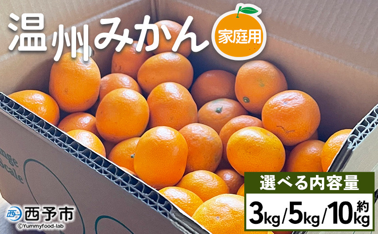 
            温州みかん ご家庭用 約3kg／5kg／10kg 訳あり わけあり 自宅用 果物 フルーツ みかん ミカン 蜜柑 オレンジ 柑橘 うんしゅう ウンシュウ 選べる 食べて応援 特産品 柑橘園柴田 愛媛県 西予市【常温】
          