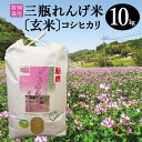 【ふるさと納税】令和6年産 特別栽培米 三瓶れんげ米 コシヒカリ 玄米 10kg 国産 米 玄米 100% 無化学窒素肥料 減農薬 エコロジー米 美味しまね認証 安心 安全 環境保全型農業 令和6年度産 2024年産 れんげ草 ダイエット 健康 特産品 お取り寄せ