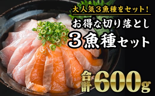 【ふるさと納税】年内発送 12月末までにお届け【大人気3魚種のお得なセット※】サーモン・ブリ・タイ 3種 生食用 切り落とし 大満足 600gセット 小分け さけ シャケ しゃけ ぶり 鰤 たい 鯛 人気 生食用 刺身 お刺身 刺し身 魚介類 海鮮 冷凍 厚切り 薄切り 　OB-30