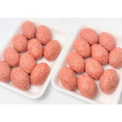 ふるさと納税 柳川市 こだわり手作り生ハンバーグ 100g×20個 |  | 01