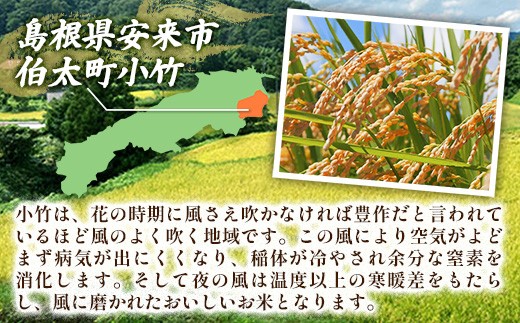 新米 令和8年産 小竹の風（コシヒカリ）5kg×1袋 【 お米 こしひかり 化学肥料不使用 島根県産 精米 白米 島根県 安来市 】【20-TB-23】