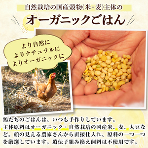 K-598 国産！オーガニックチキン1羽セット 未カット (計1.1kg～1.5kg)【お多福たまご】霧島市 国産 鶏肉 鳥 もも モモ 胸肉 むね ムネ ささみ ササミ オーガニック 有機JAS認定