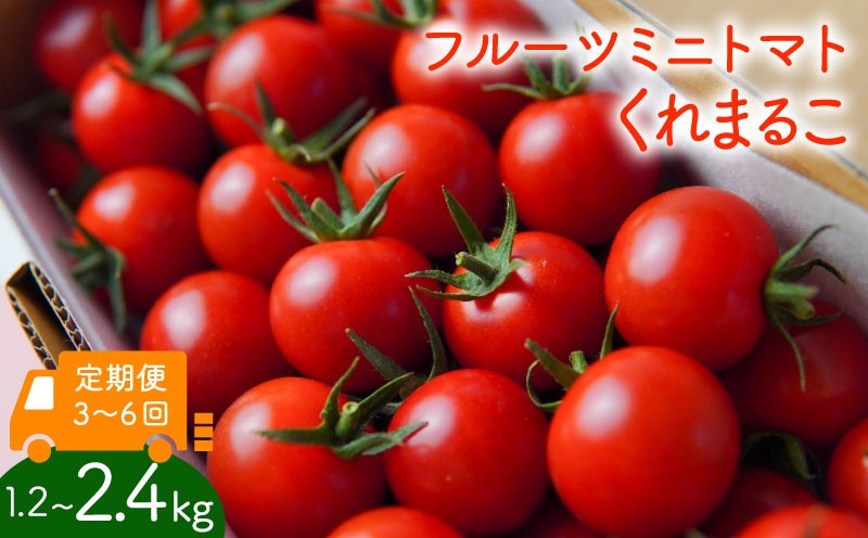 
                  フルーツミニトマト 『 くれまるこ 』 1.2kg ～ 2.4kg 定期便 3回 6回 【トマト とまと 野菜 やさい 新鮮 産地直送 贈答 おすすめ フルーツ ミニトマト トマト 野菜 とまと 甘いトマト フルーツトマト tomato 高知 中土佐 久礼 】
                