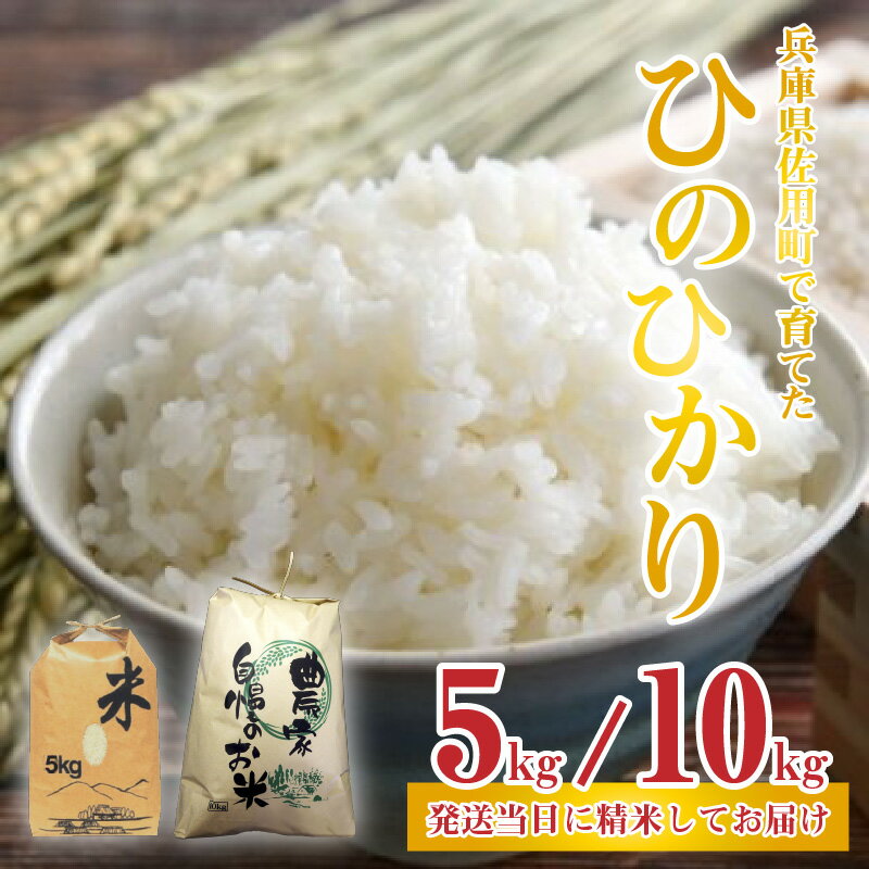 【ふるさと納税】【先行予約】新米 兵庫県佐用町で育てたひのひかり 5g ／ 10kg 【2025年10月中旬頃から順次発送予定】 兵庫県産 ひのひかり 減農薬米 精米 お米 特Aランク 選べる