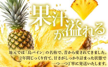 【先行予約】《2026年7月下旬発送》夏実パイン（ハワイ種）大玉6個 計7.8kg【 産地直送 沖縄 石垣 フルーツ パイナップル パイン ハワイ 夏実パイン 】SI-49-1