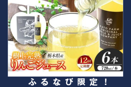 【ふるなび限定】【定期便12回】栃木県矢板市産 樹上完熟100％りんごジュース 720ml×6本入  | 林檎 リンゴ 果汁100% 産地直送 (毎月お届け） FN-Limited-PR