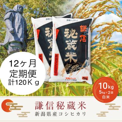 ふるさと納税 上越市 【毎月定期便】＜12ヶ月連続＞謙信秘蔵米(精米)10kg全12回 | 