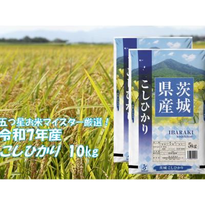 ふるさと納税 茨城町 【令和7年産】 こしひかり 10kg (5kg×2袋) 精米 茨城県産  お米 マイスター厳選