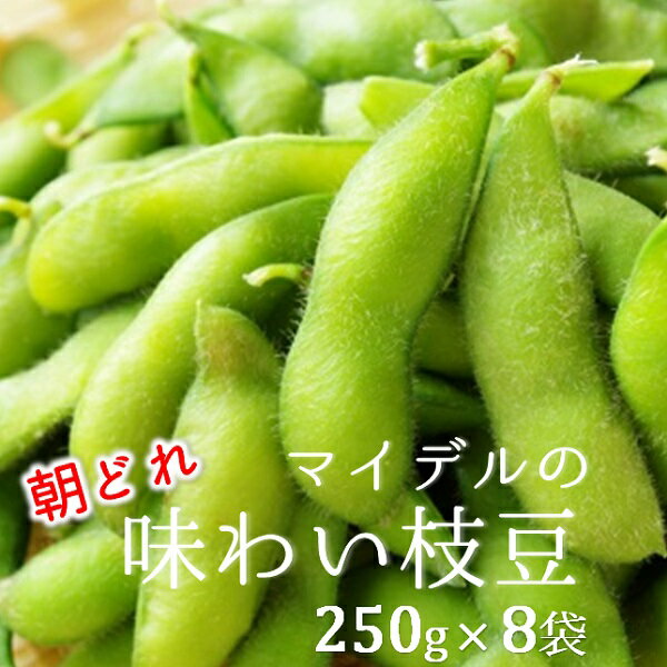 【ふるさと納税】道の駅マイデルの味わい枝豆（250g×8袋）※8月中旬頃～9月配送（物産館マイデル運営協議会）