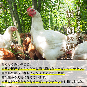 K-598 国産！オーガニックチキン1羽セット 未カット (計1.1kg～1.5kg)【お多福たまご】霧島市 国産 鶏肉 鳥 もも モモ 胸肉 むね ムネ ささみ ササミ オーガニック 有機JAS認定