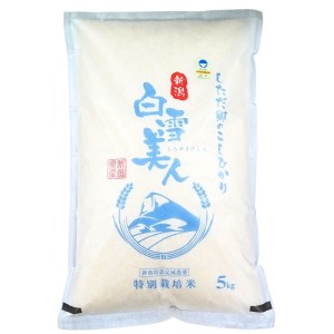 令和5年産米 特別栽培米 下田産コシヒカリ「白雪美人」 精米 ５kg 新潟県【011S096】