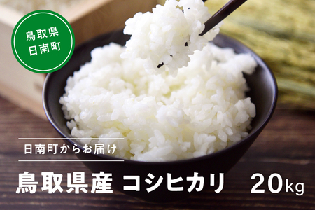 【新米】【白米】令和6年産 鳥取県産コシヒカリ 20kg 米 お米 こめ コメ 精米 日南町精米 鳥取県日南町