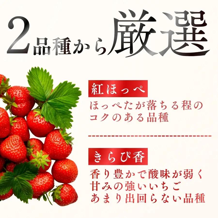 【先行予約_2027年発送】地元JA品評会金賞受賞　冷凍イチゴ5Kg　【 フローズン ストロベリー スムージー 苺 いちご  】 
