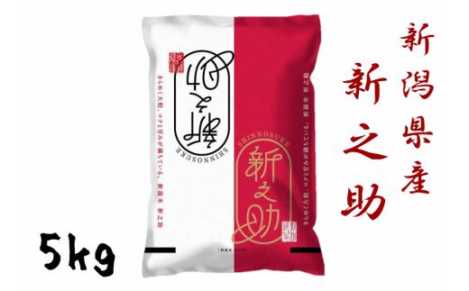 【令和7年産】新潟産 新之助 5kg 【大人気のため予告なしに受付休止・再開します】1N01016