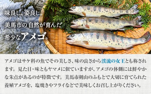 アメゴ 約1kg  内臓 なし 木屋平淡水養魚場《4月上旬-10月下旬頃出荷(土日祝除く)》 【配送不可地域あり】※北海道・沖縄・離島　徳島県 美馬市 川魚 アメゴ あまご 塩焼き 唐揚げ 送料無料